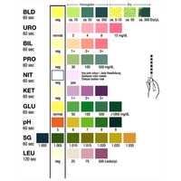 Test-it 10™ Urine Test Strip